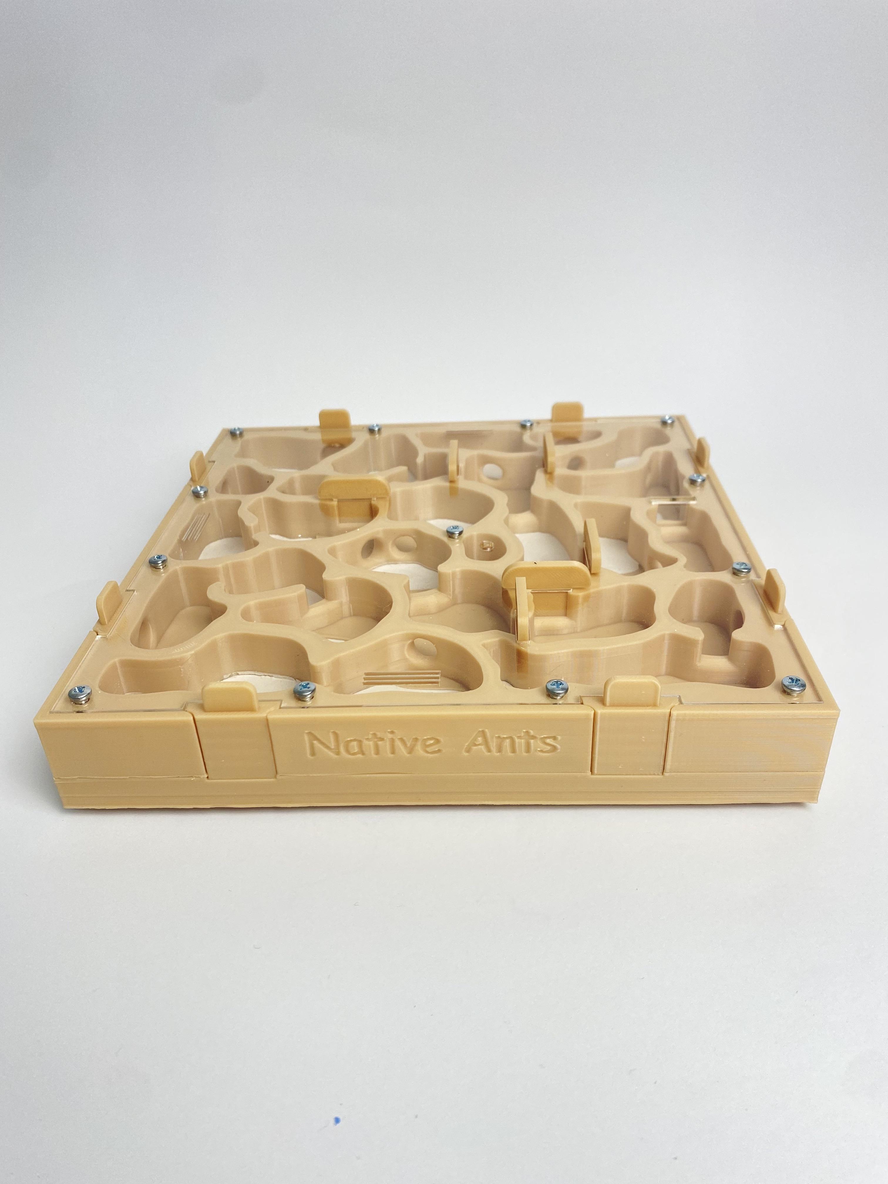 Модуль-гнездо система для муравьиной фермы 20х20 см Бежевый (2681852493)