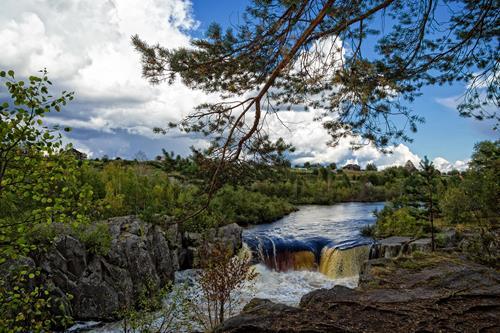 Картина на холсте Природа 50х70 см (PR256m)