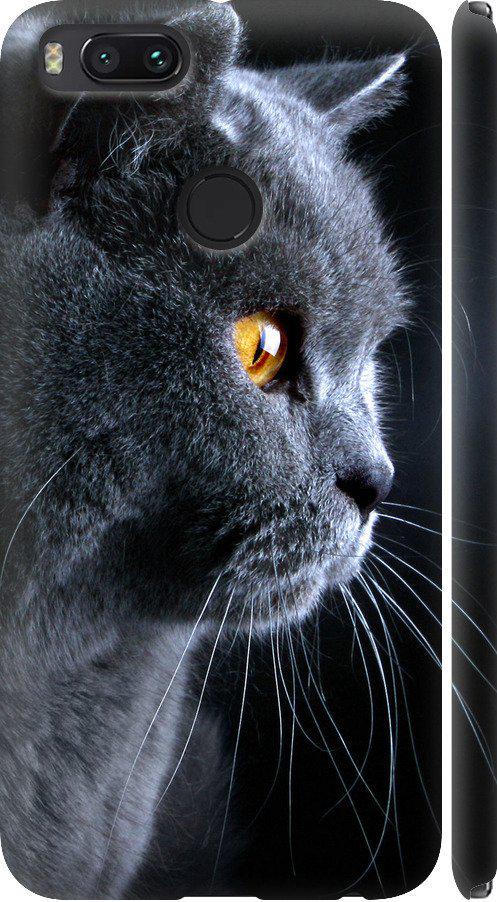 Чехол на Xiaomi Mi A1 Красивый кот (3038m-1132-42517)