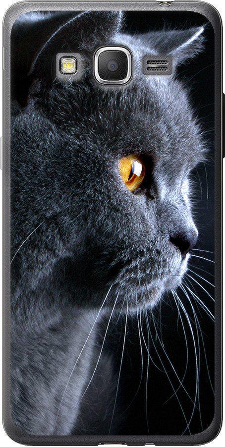 Чехол на Samsung Galaxy J2 Prime Красивый кот (3038t-466-42517)