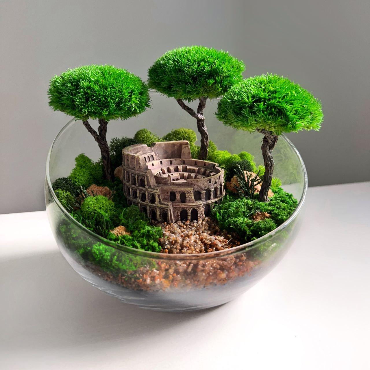 Моссариум Колизей, 18 см