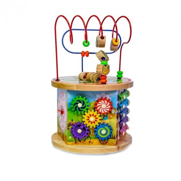 Деревянная развивающая игрушка-сортер 10в1