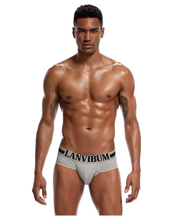 Трусы Lanvibum XXL Серый (4506)