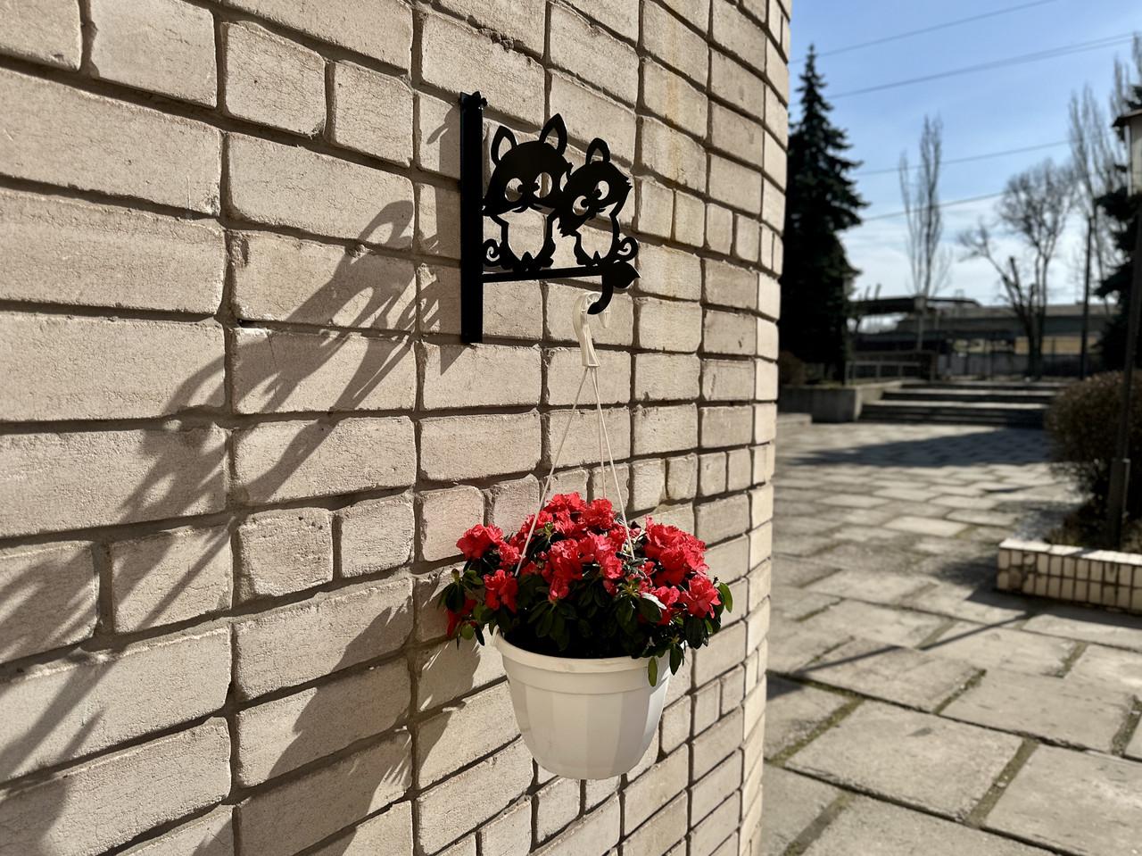 Кронштейн Друзья для кашпо с цветами метал Черный (М003) - фото 3 Кронштейн Друзья для кашпо с цветами метал Черный (М003) - фото 3