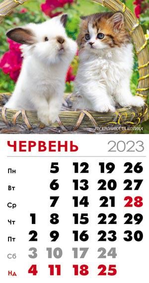 Календарь на 2023 год магнит Кролик и котик в корзине