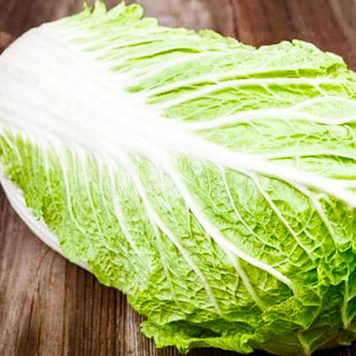 Семена Капуста Florium пекінська Мішель ТМ Яскрава (12185)