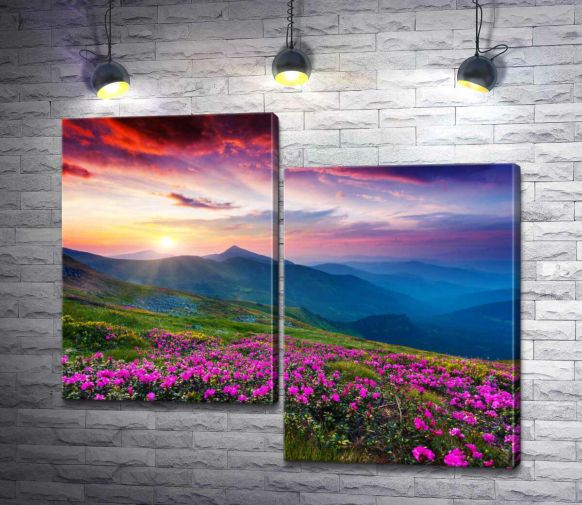 Модульная картина ArtPoster Розовые цветы укрыли горный склон 100x84 см Модуль №5 (002594)