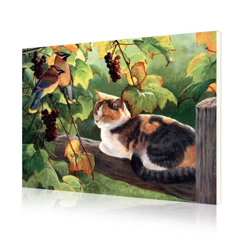 Картина по номерам Lesko DIY E689 Трехцветный кот