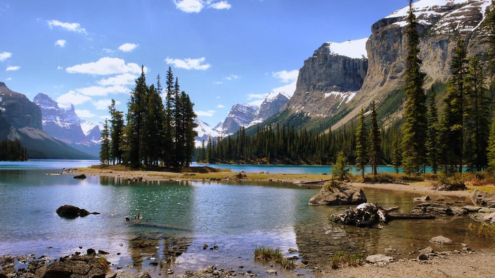 Картина на холсте Природа 50х70 см (N265)