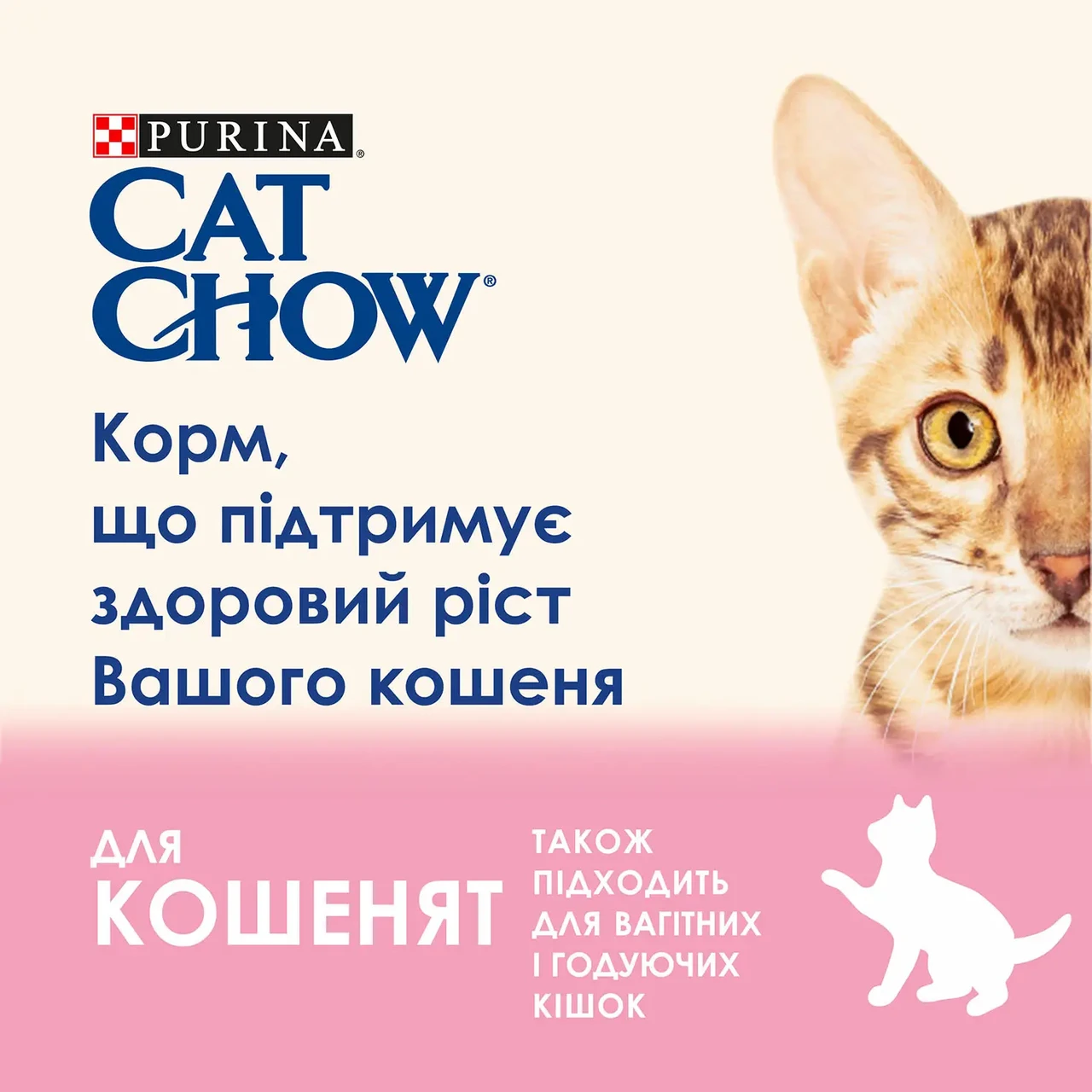 Вологий корм Cat Chow Kitten для кошенят шматочки в желе індичка і цукіні 85 г (7613036595001) - фото 2