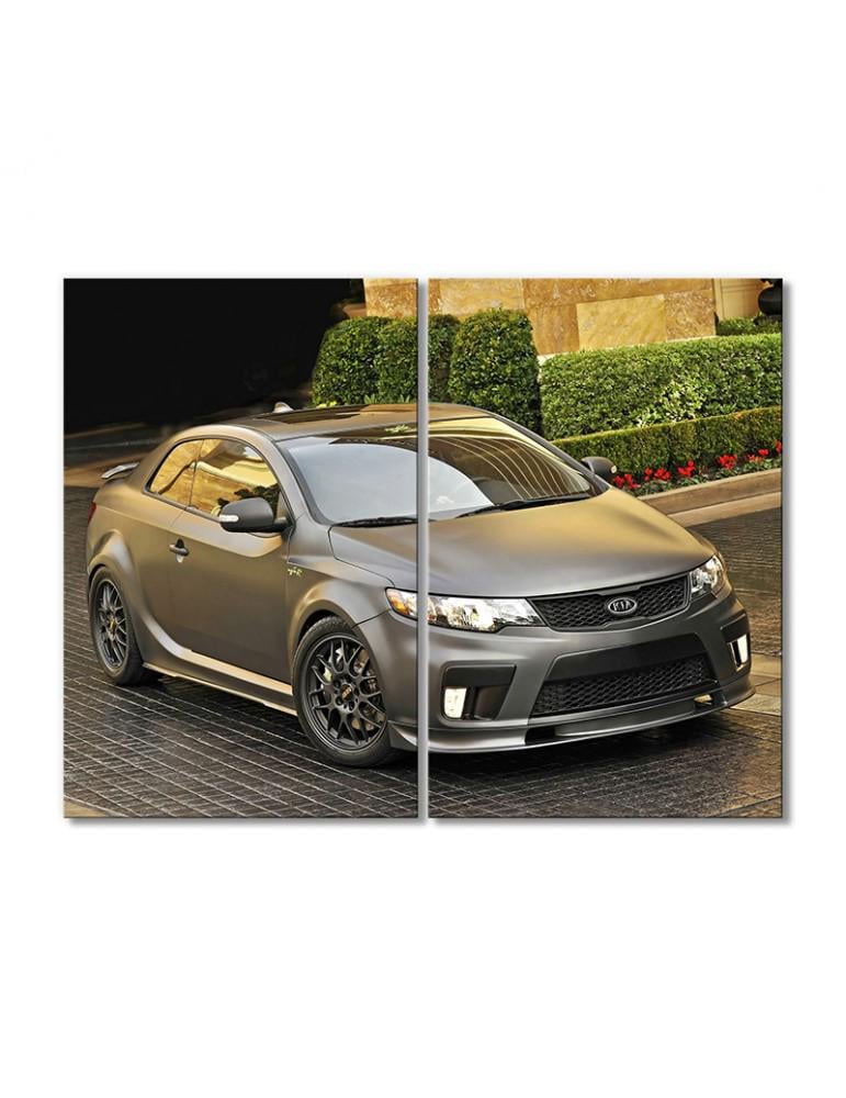 Картина модульная Платиновая КИА 2 модуля 40х60 см