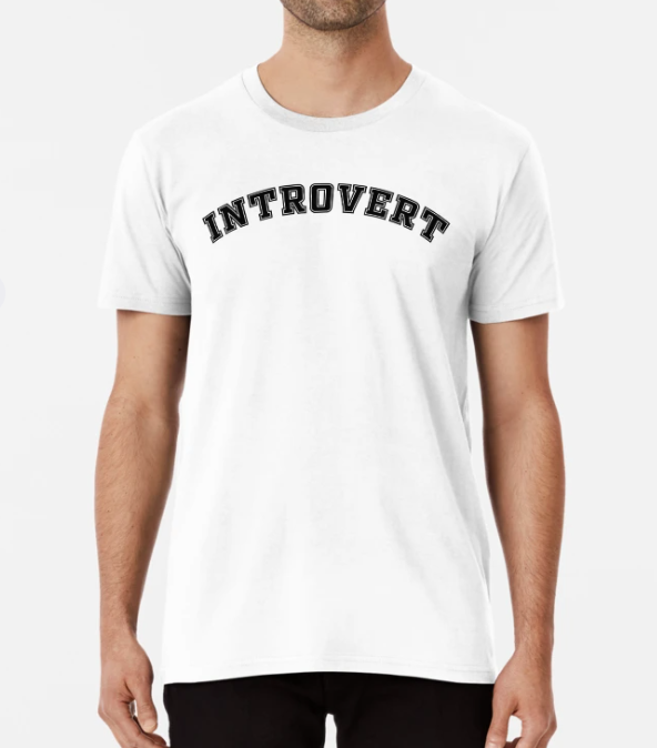Футболка мужская Stedman с принтом Introvert XXXL Белый (ПН274-12)