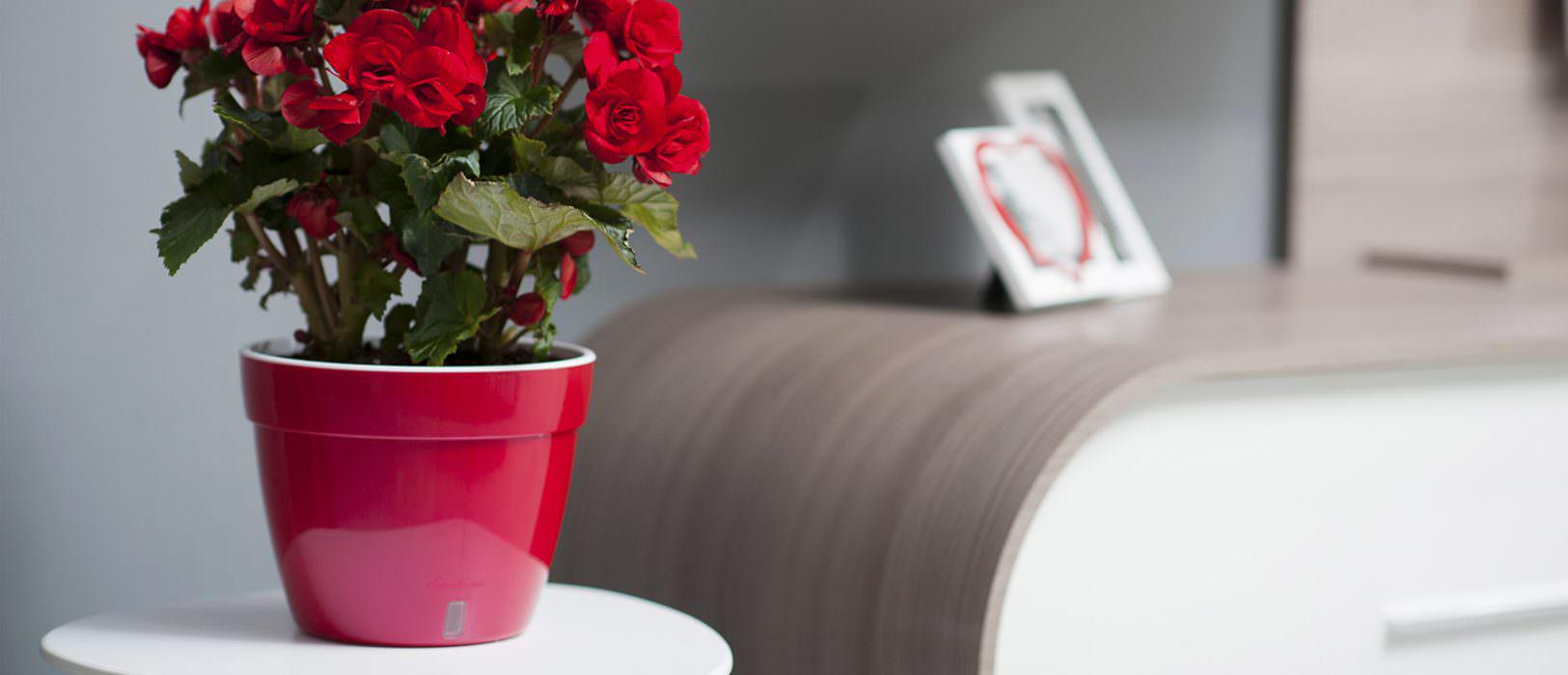 Горшок для цветов ASTI 6 л Красный/Белый - фото 4