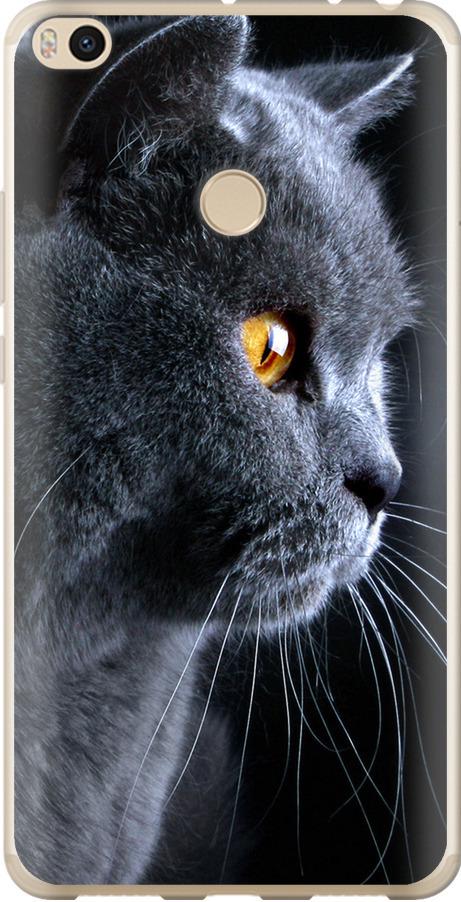 Чехол на Xiaomi Mi Max 2 Красивый кот (3038u-994-42517) Чехол на Xiaomi Mi Max 2 Красивый кот (3038u-994-42517)