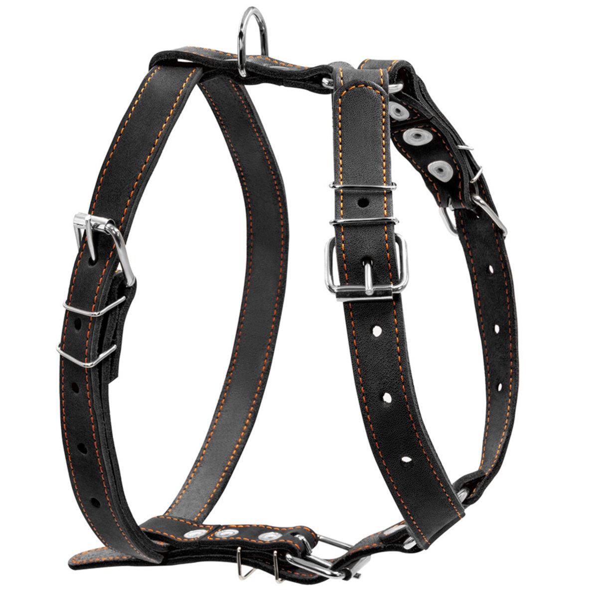 Шлея одинарна CoLLaR для середніх собак 25 мм х 49-68 см х 68-80 см Чорний (06381 Col)