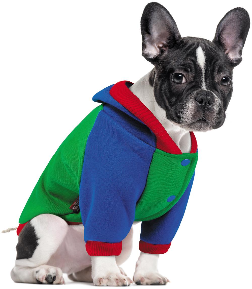 Толстовка для собак Природа Курт М Зелений (4823082412419) Толстовка для собак Природа Курт М Зелений (4823082412419)