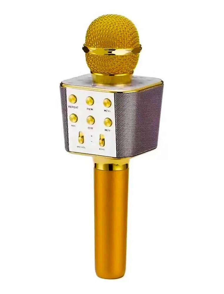 Микрофон Wster WS-1688 USB/microSD/AUX/Bluetooth/REC (22031077)