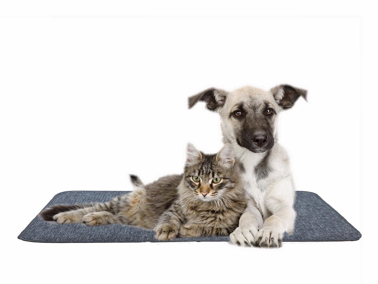 Електрокилимок для обігріву тварин з регулятором 50х43 см (24172477) - фото 3 Електрокилимок для обігріву тварин з регулятором 50х43 см (24172477) - фото 3