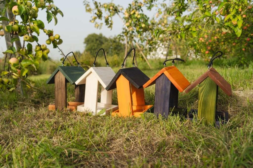 Набор для кормления птиц из деревянной разборной кормушки и корма для птиц овес/крупы/семена льна и подсолнечника/просо - фото 9 Набор для кормления птиц из деревянной разборной кормушки и корма для птиц овес/крупы/семена льна и подсолнечника/просо - фото 9