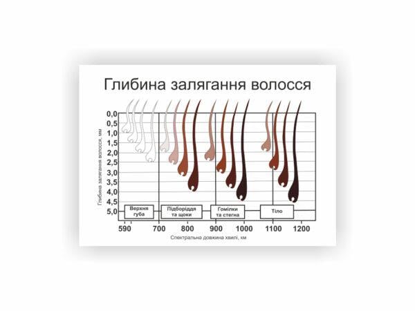 Плакат Vivay Глубина залегания волос 60х80 см (25602589)