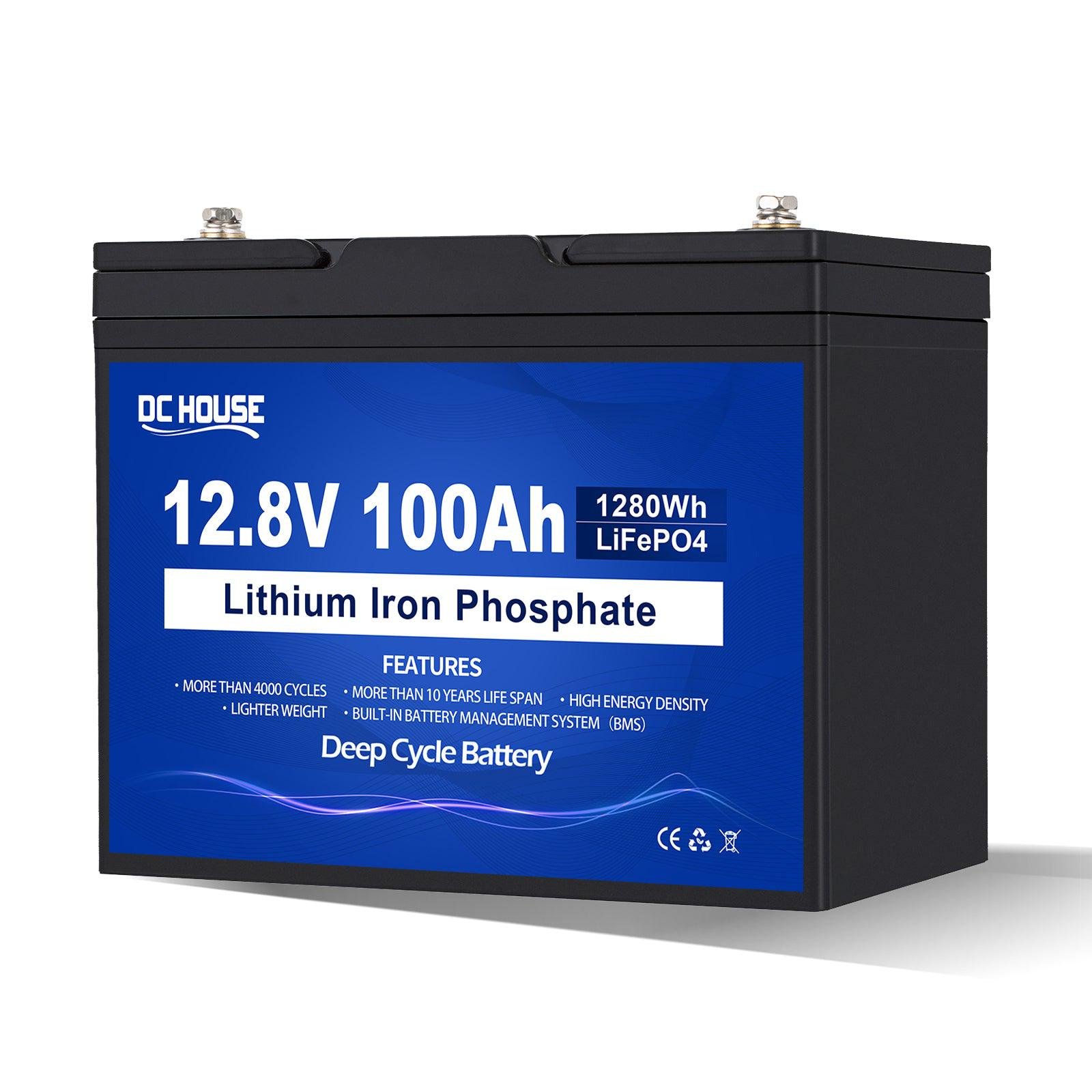 Акумуляторна батарея DC-HOUSE 12V 100Ah LiFePO4 Lithium Battery 4000 BMS (ECO-LFP12100-100AH)