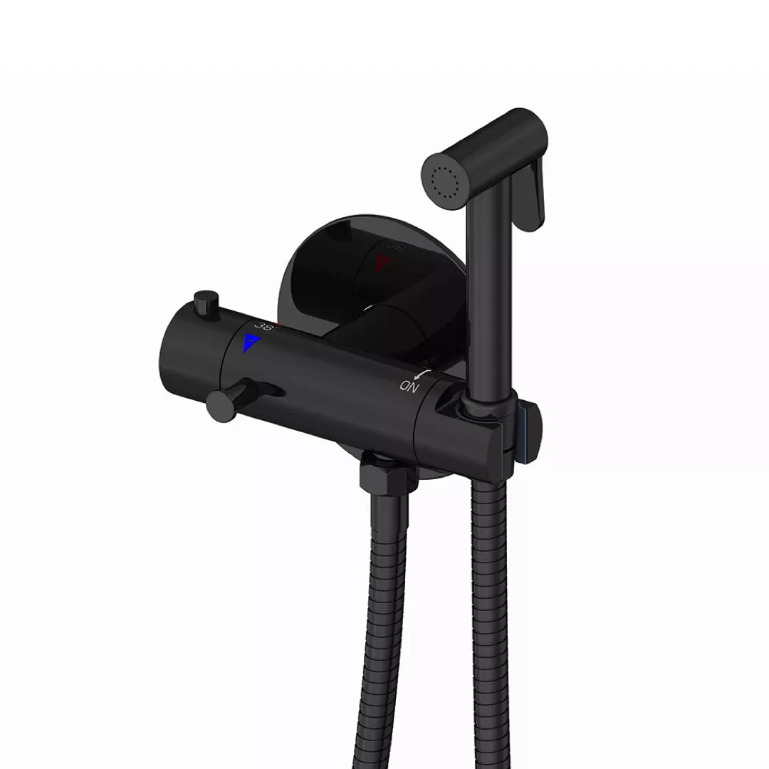 Гигиенический душ с термостатом Gappo G7290-6 Черный (G7290-6) Гигиенический душ с термостатом Gappo G7290-6 Черный (G7290-6)