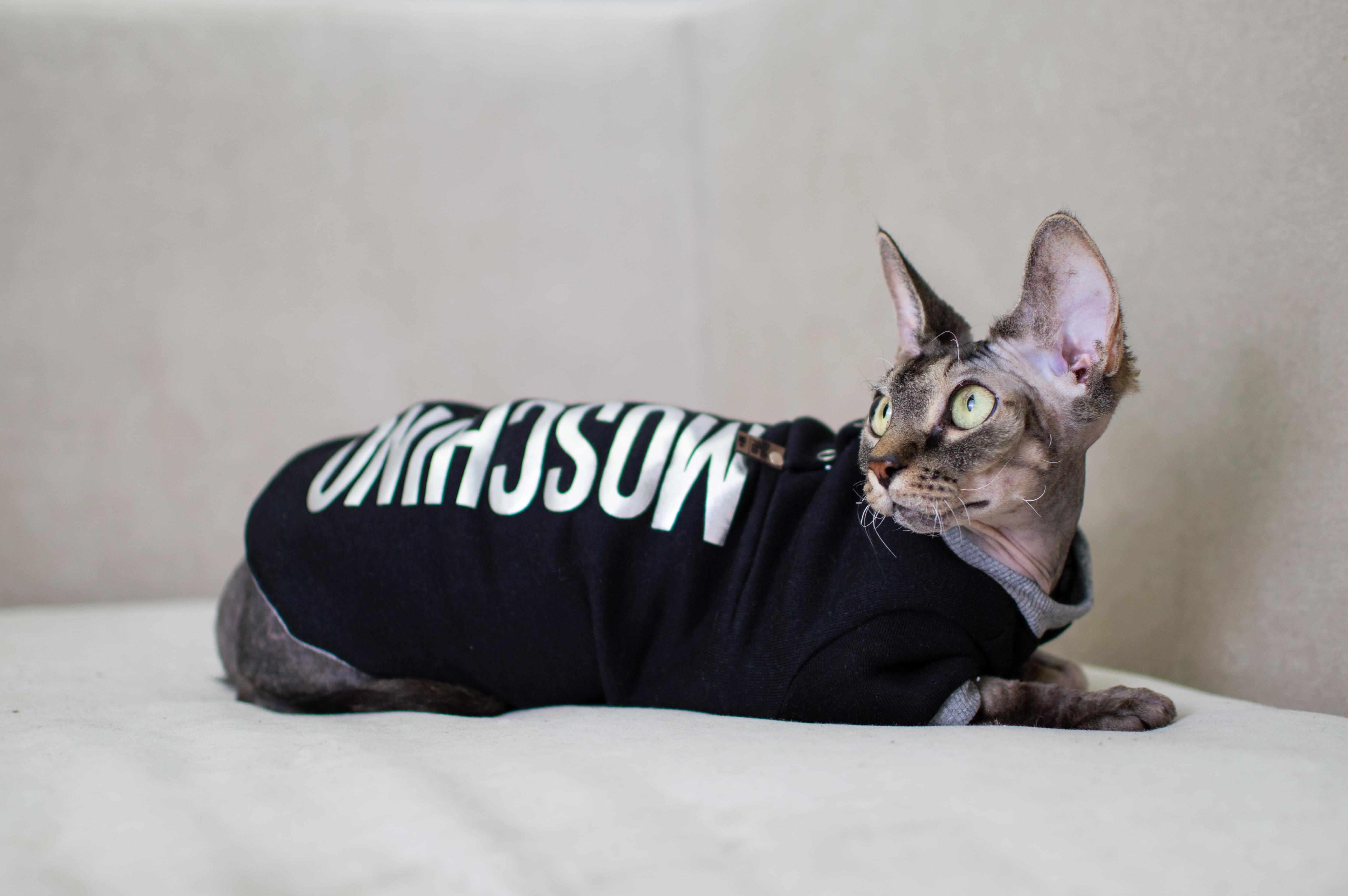 Кофта для котів з рукавами тепла Style Pets MOSCHINO S Black (409S) - фото 3