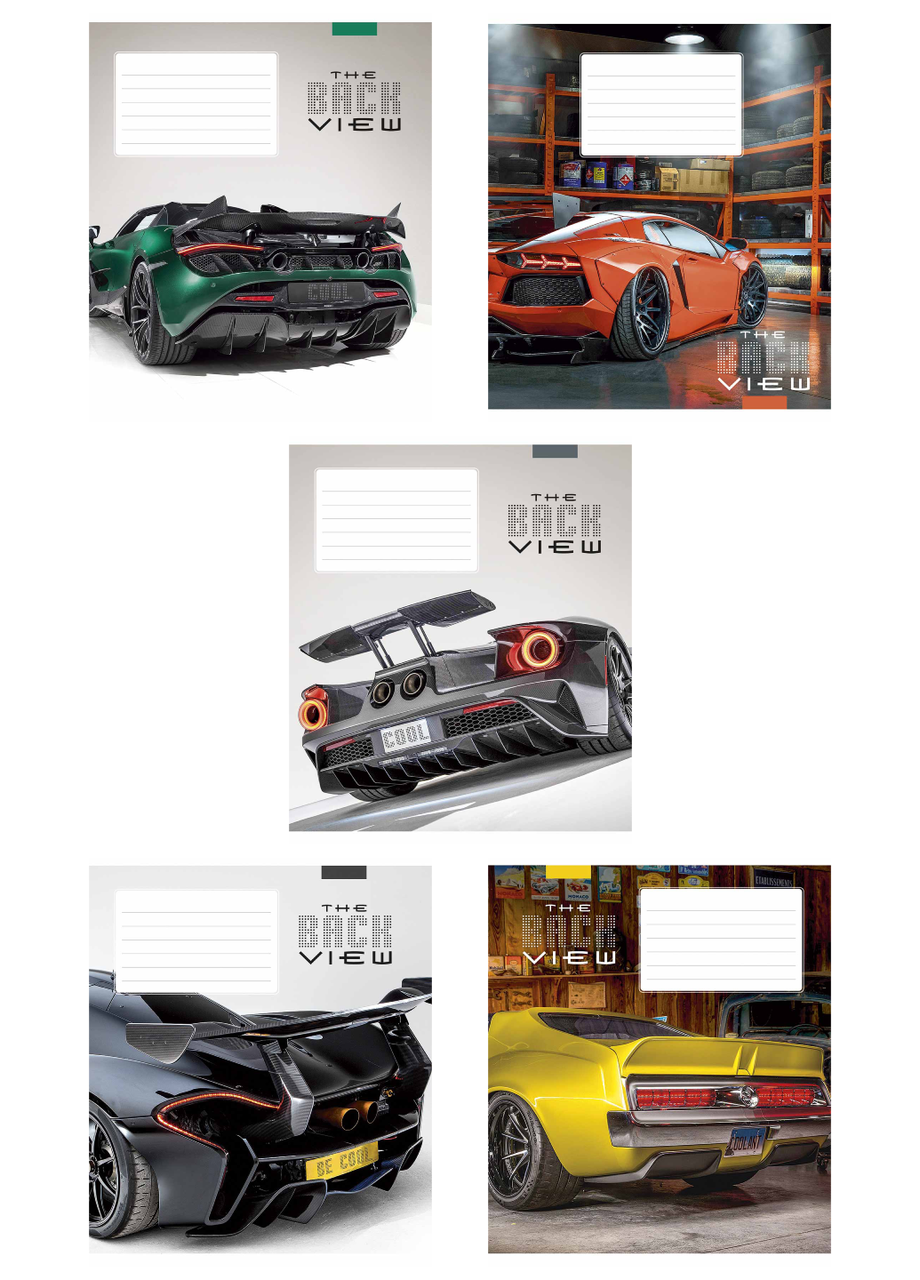 Тетради ученические Школярик The back view Star 3380 ВД-лак в клетку 5 шт. по 24 л. (4820006472108)