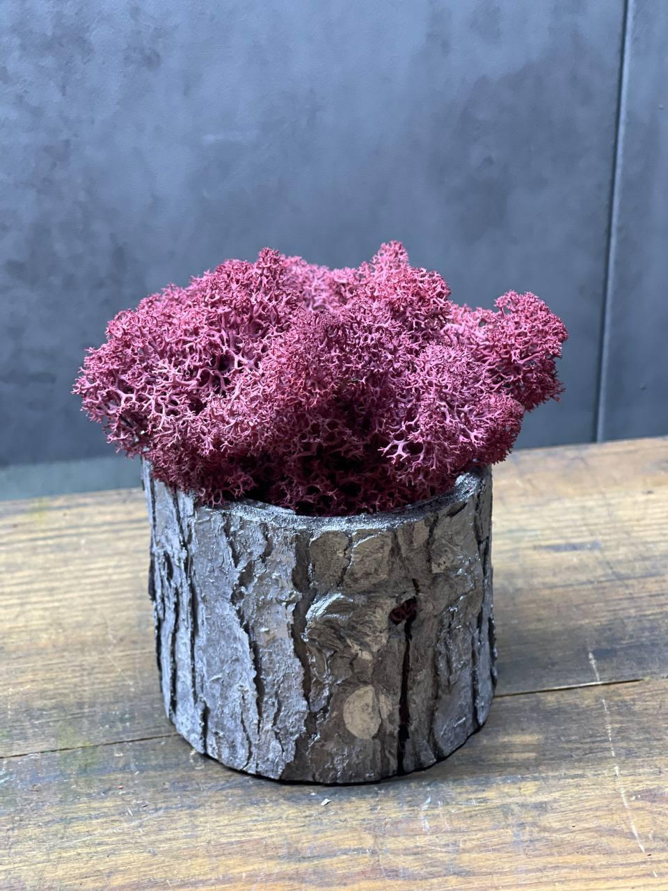 Мох ягель стабілізований 15 гр. Рожевий