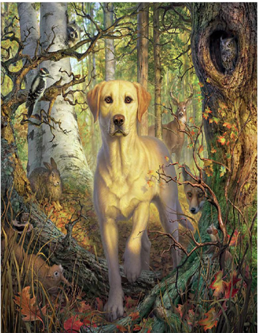 Алмазная мозаика Cornix Art AY31 40x30 см (4295) Алмазная мозаика Cornix Art AY31 40x30 см (4295)