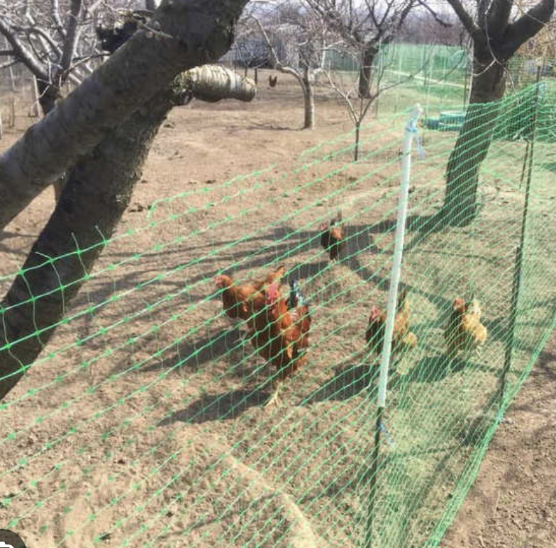 Сетка защитная от птиц Пташка 0,5x100 м ячейка 12х14 мм Зеленый (24757198) - фото 8 Сетка защитная от птиц Пташка 0,5x100 м ячейка 12х14 мм Зеленый (24757198) - фото 8