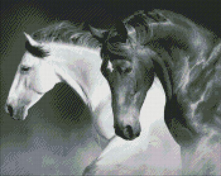 Алмазная мозаика Идейка Черно-белая сила 40x50 см (Id-AMO7421)