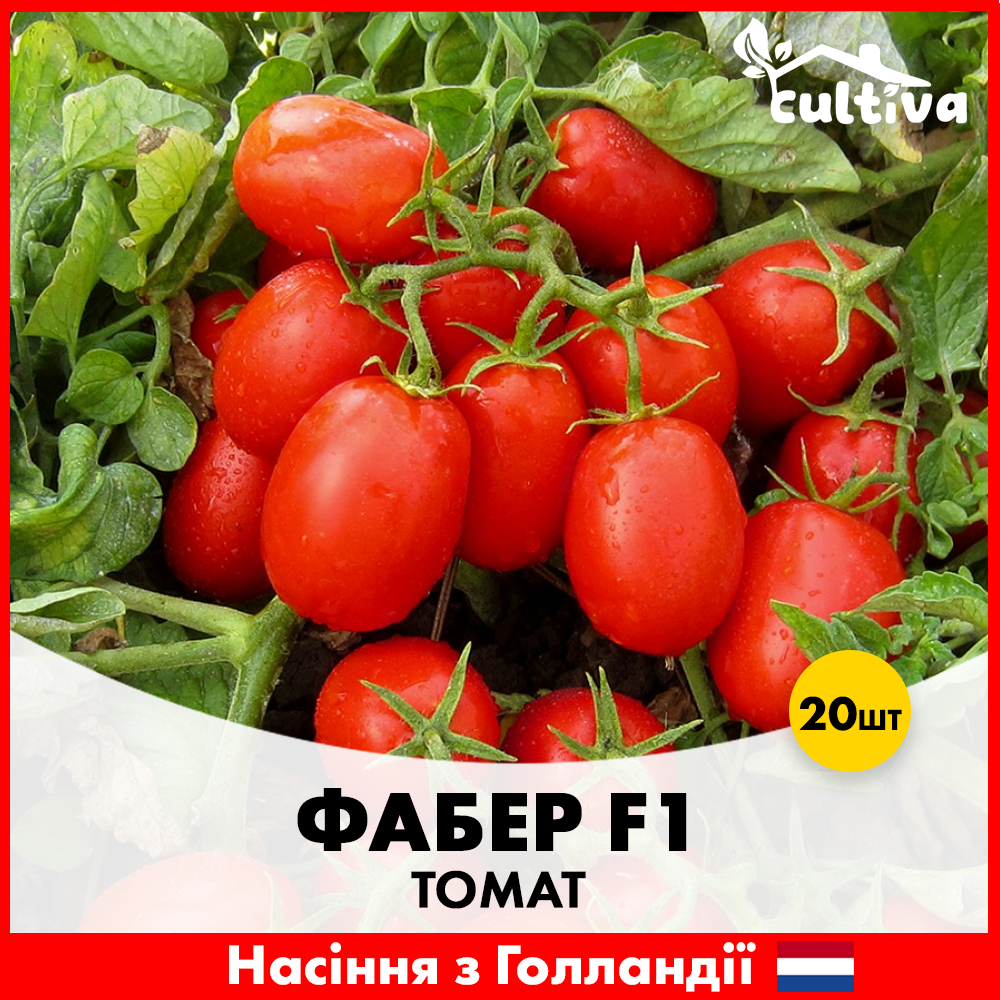 Семена томата Hazera Фабер F1 20 шт. (422)