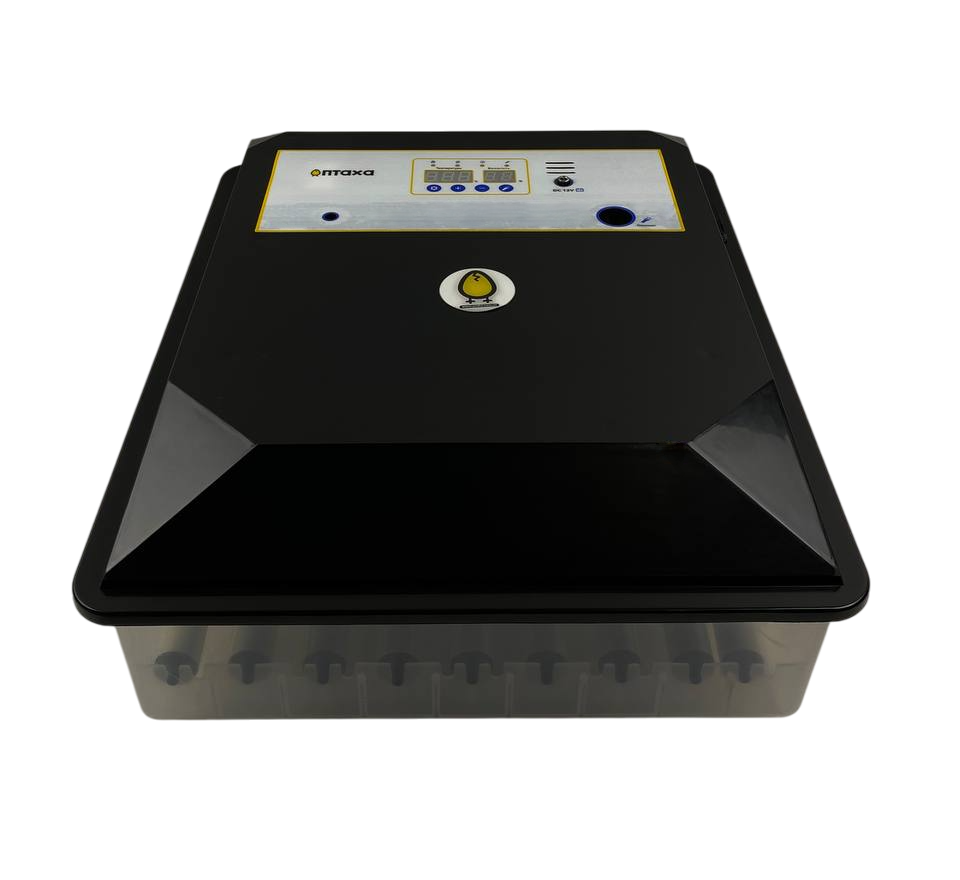 Інкубатор автоматичний ПТАХА 64-BLK (220/12V)