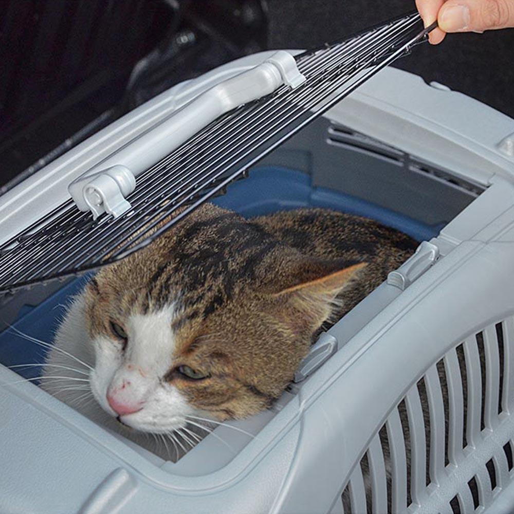 Переноска для котов и собак Ferplast Atlas Deluxe Open 20 37,4х57,6x33 см до 8 кг Серый/Синий (73040899) - фото 5 Переноска для котов и собак Ferplast Atlas Deluxe Open 20 37,4х57,6x33 см до 8 кг Серый/Синий (73040899) - фото 5