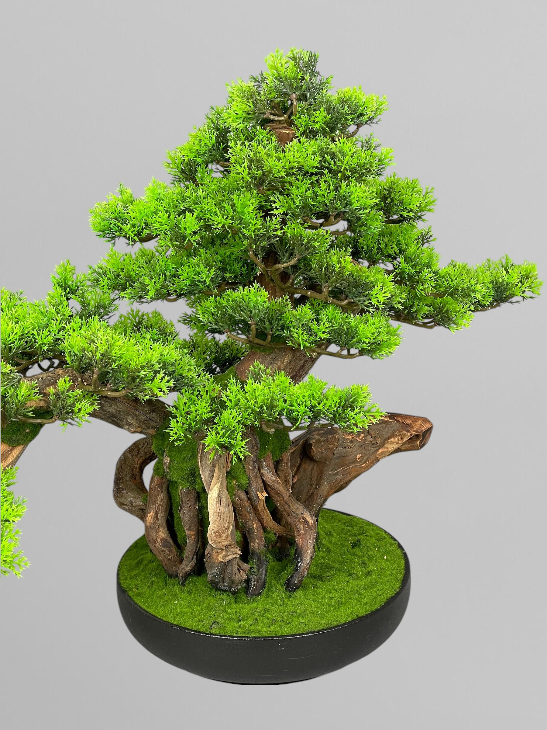 Бонсай 51 см Зеленый (Б010) - фото 2 Бонсай 51 см Зеленый (Б010) - фото 2