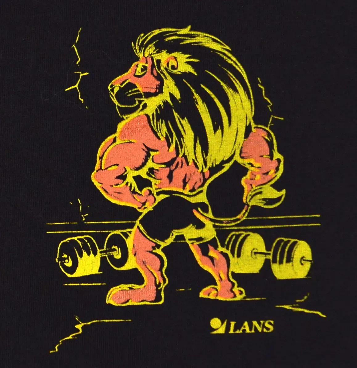 Трусы мужские транки Lans Лев XL (28300434) - фото 2