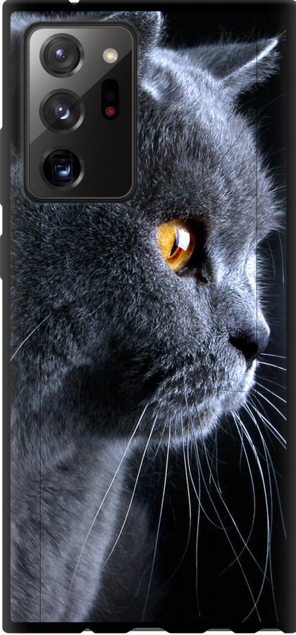 Чехол на Samsung Galaxy Note 20 Ultra Красивый кот (3038b-2051-42517)