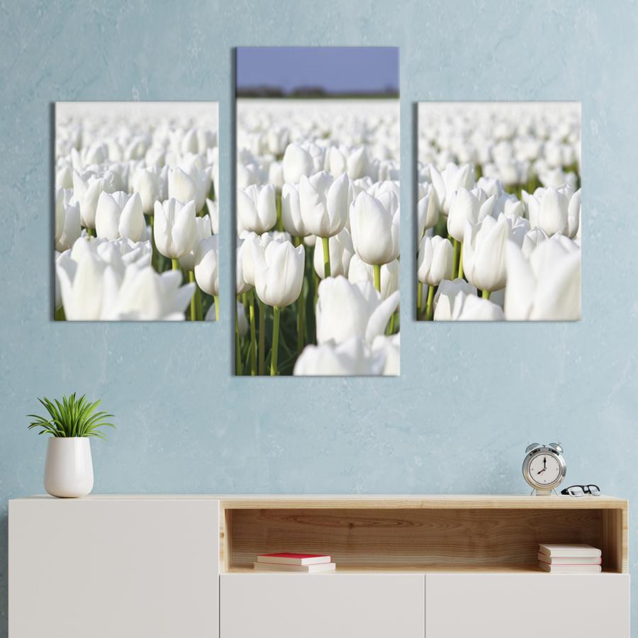 Модульная картина на холсте Триптих Белые тюльпаны 66x40 см (237-32)