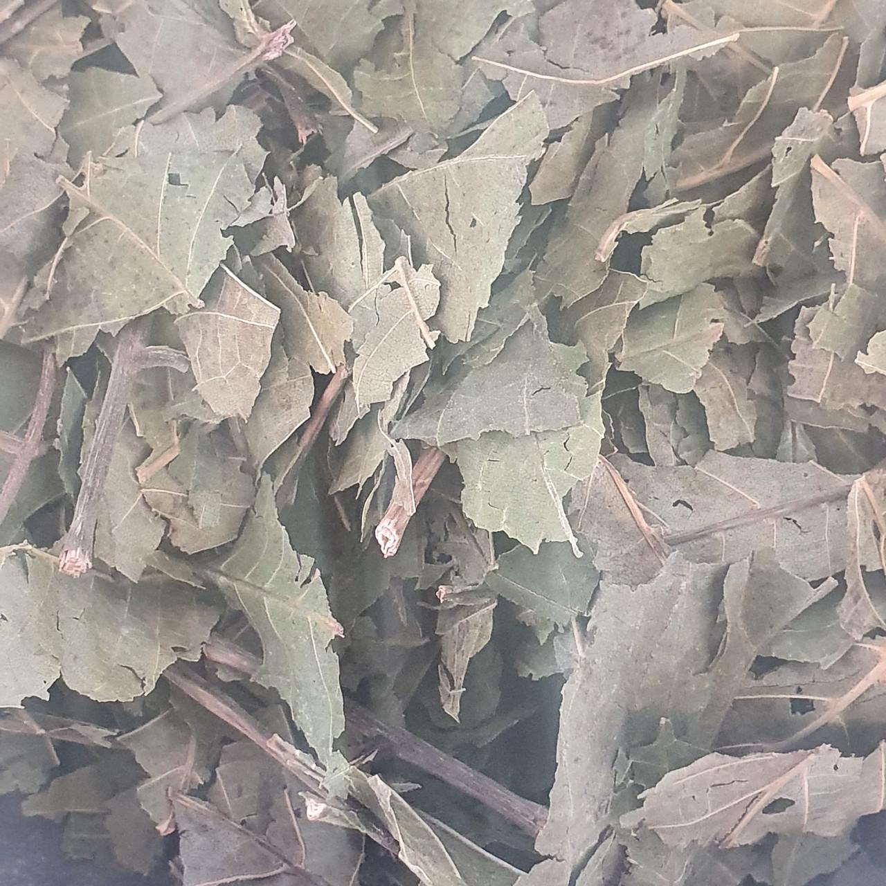 Лікарська сировина Волоський горіх листя сушене 1 кг (1808553544)