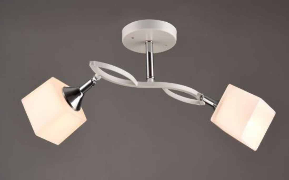 Люстра Svet на два плафона с поворотными механизмами Белый (SR-N3498/2 WT+CH)