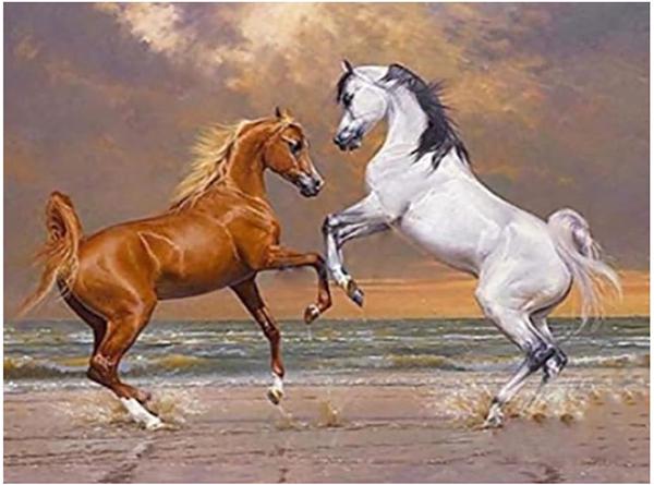 Алмазная мозаика Cornix Art AY99 40x30 см (4363) Алмазная мозаика Cornix Art AY99 40x30 см (4363)