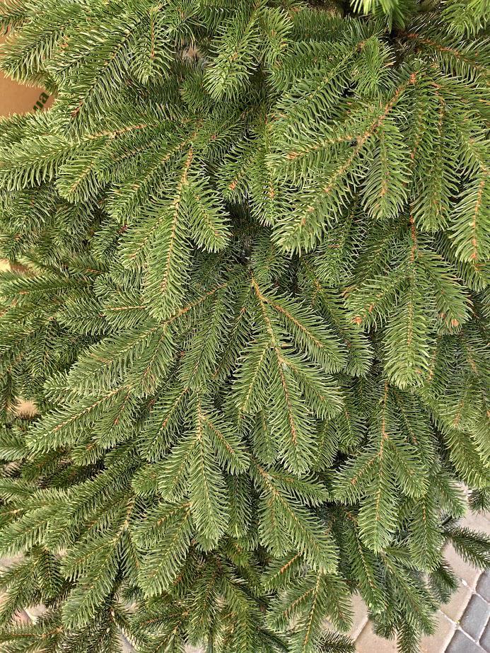 Штучна ялинка лита Елітна з підставкою 2,50 м Зелений (NYT15297) - фото 12 Штучна ялинка лита Елітна з підставкою 2,50 м Зелений (NYT15297) - фото 12