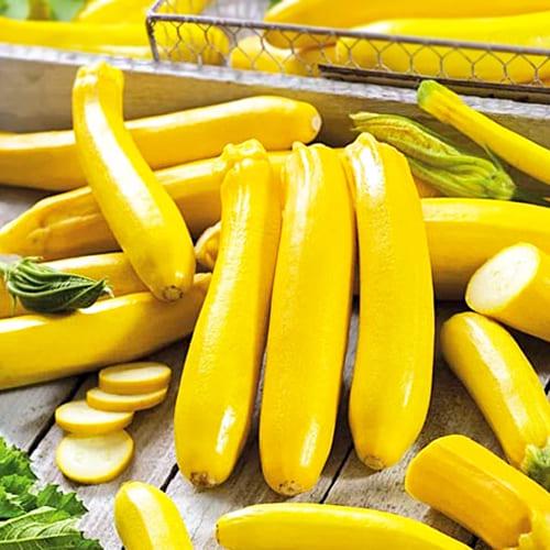 Кабачок Florium Атена F1 инкрустированные семена (18912)