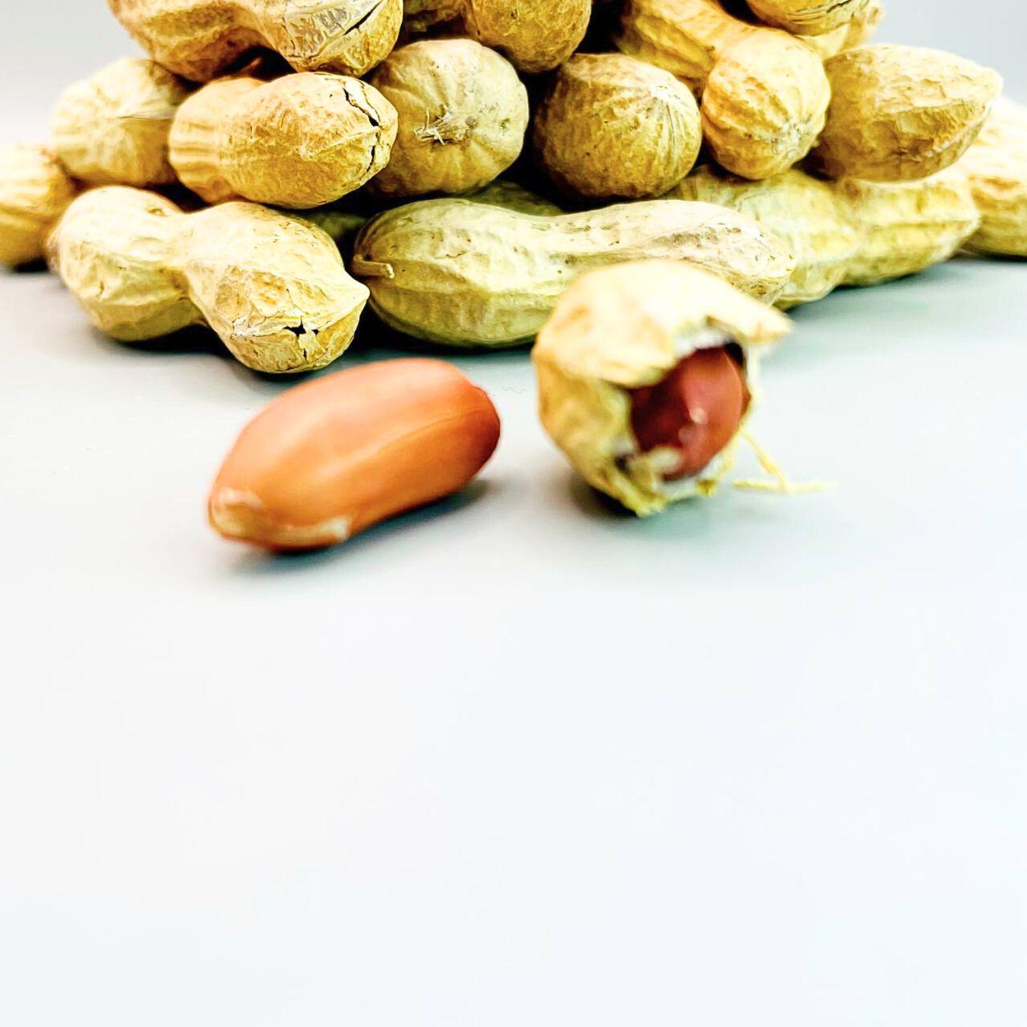 Арахіс сирий Peanut shell у шкаралупі без солі 1 кг (Pea-shell-А-1000) - фото 8