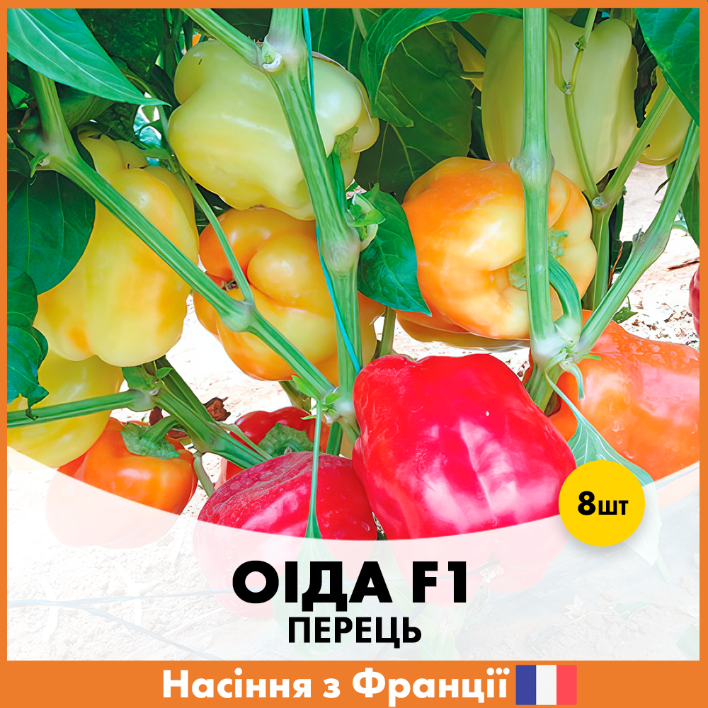 Семена перца Clause Оида F1 8 шт. (R50204)