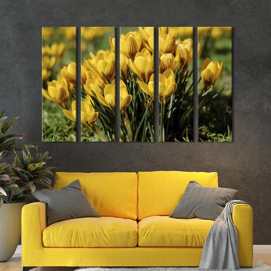 Картина на холсте Красивые цветы жёлтых крокусов 155x95 см (796-51)