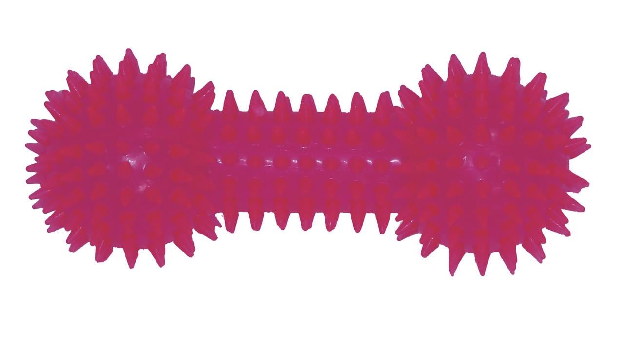 Игрушка для собак Croci Кость с шипами 16,5 см (1199892439)