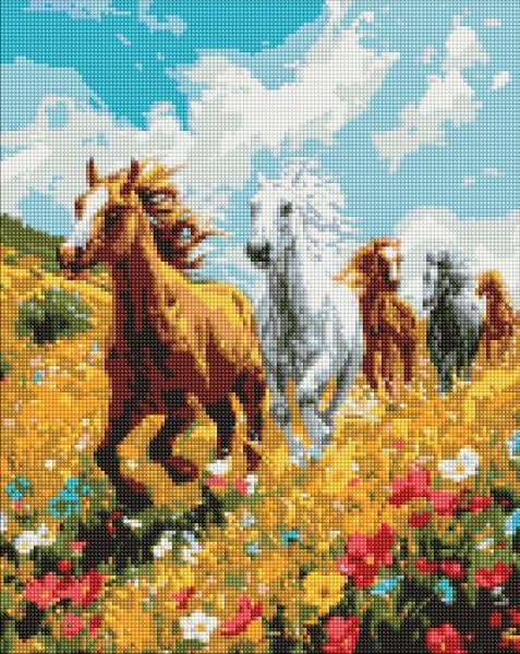 Алмазная мозаика Ideyka Полевая гармония 40x50 см (Id-AMO8017)