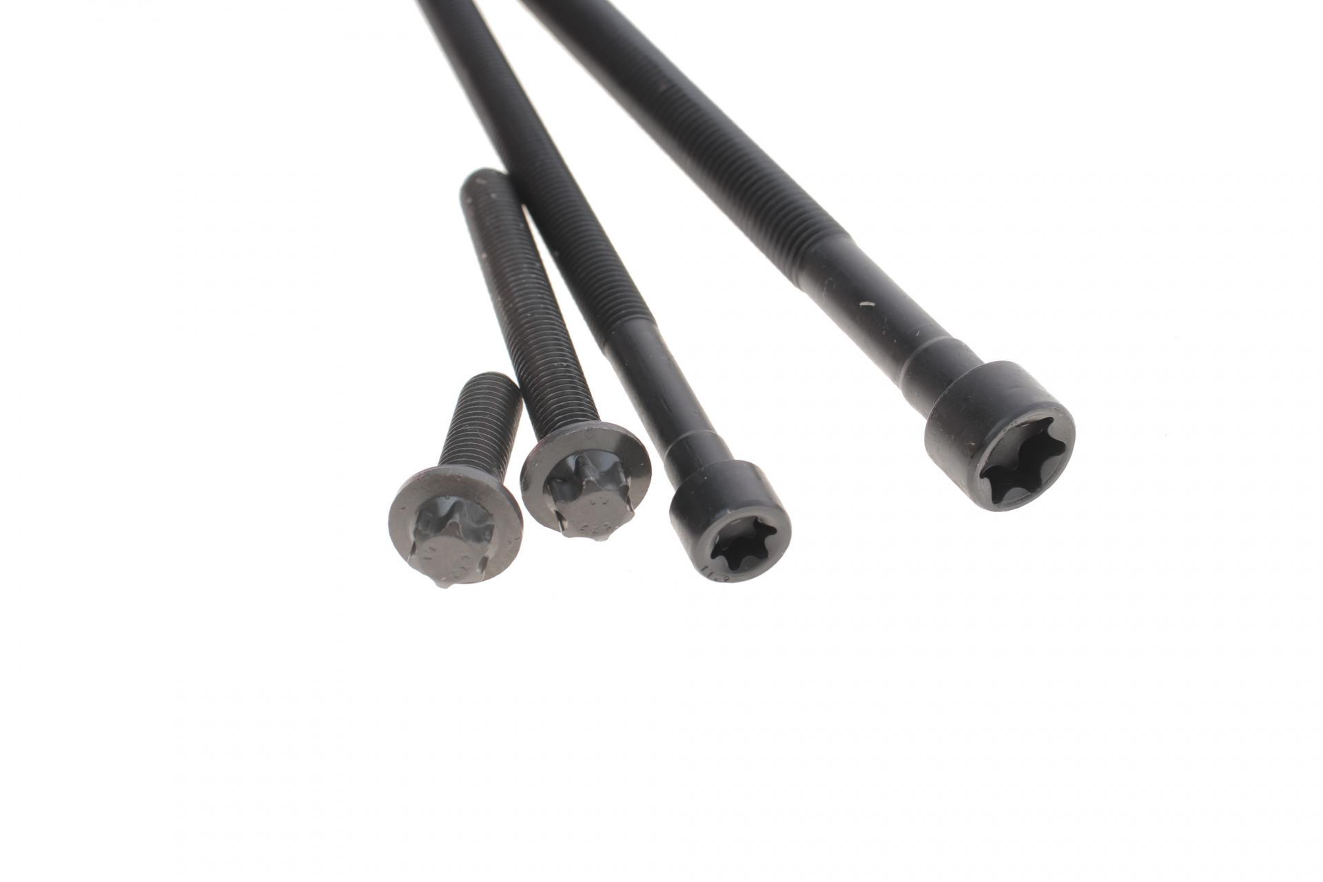 Болты головки ELRING BMW X5 F15/F85/X6 E71/E72 07- N55 10 шт. (459,450)